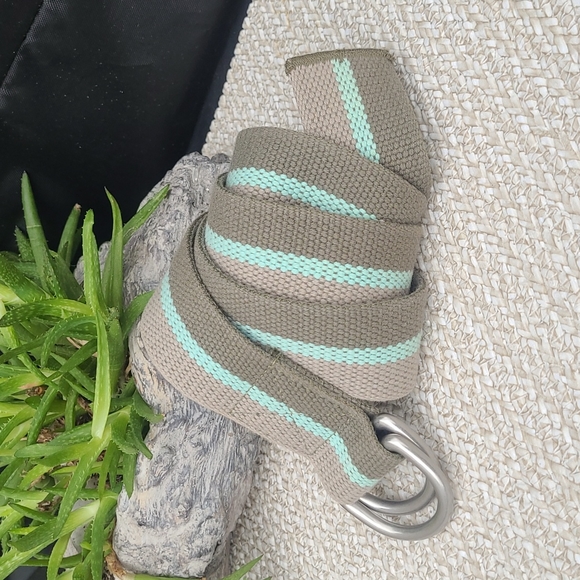 J Crew Canvas D Ring Belt